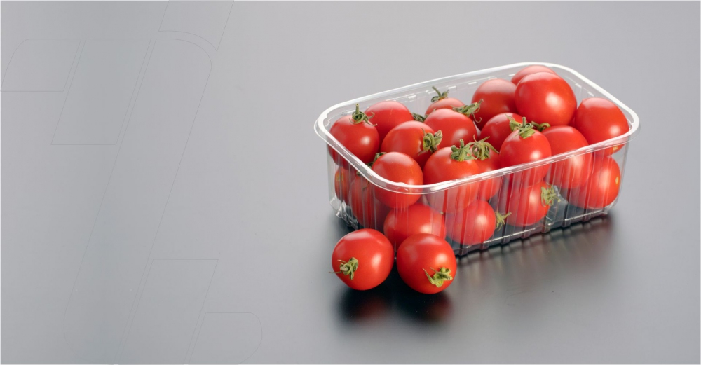 Web Sitemiz Yeni Yüzüyle Yayında