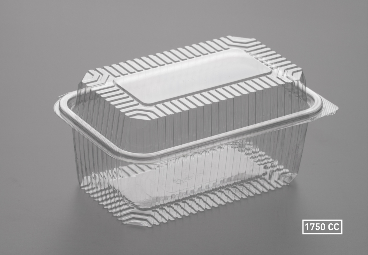 IZ-1 1750 B-Rectangular Dome Lid