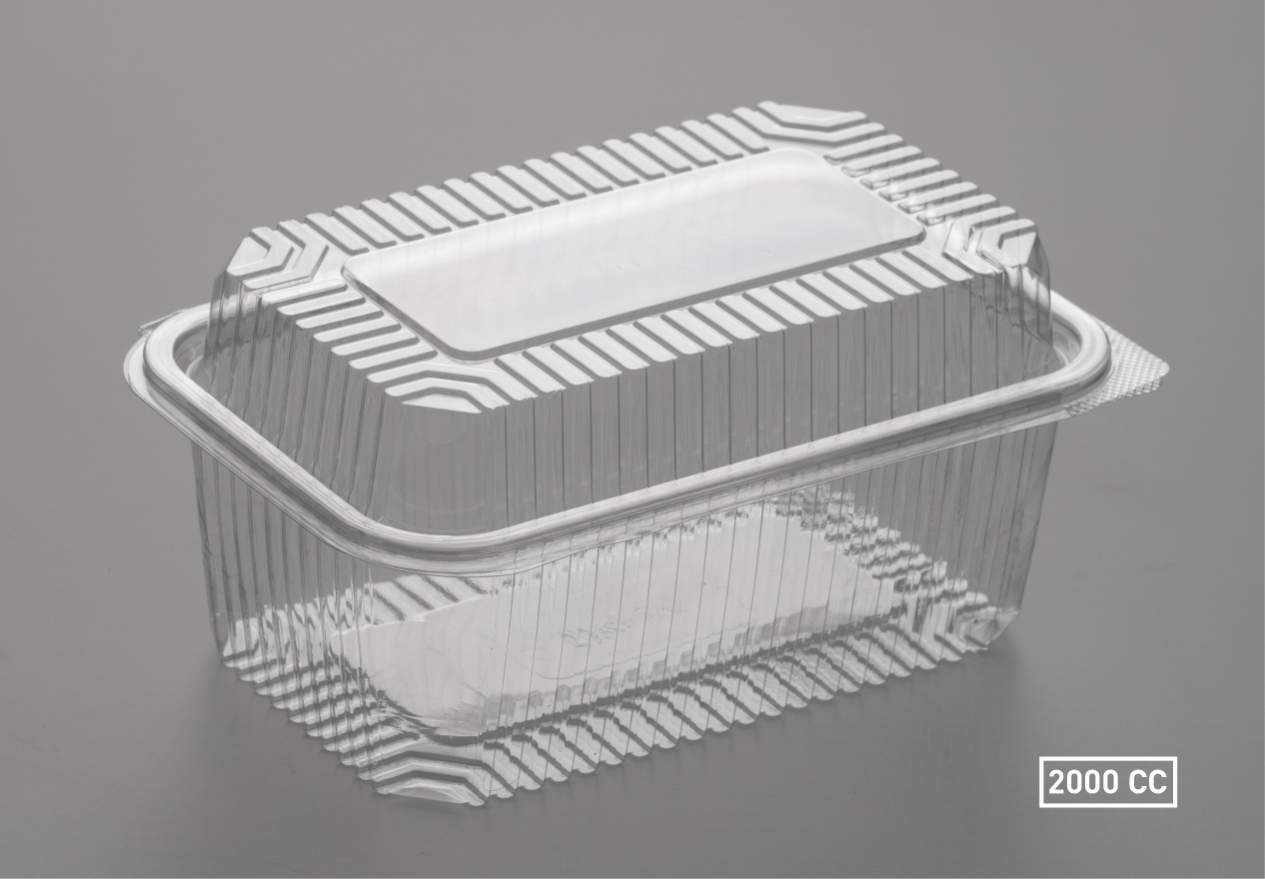 IZ-1 2000 B-Rectangular Dome Lid