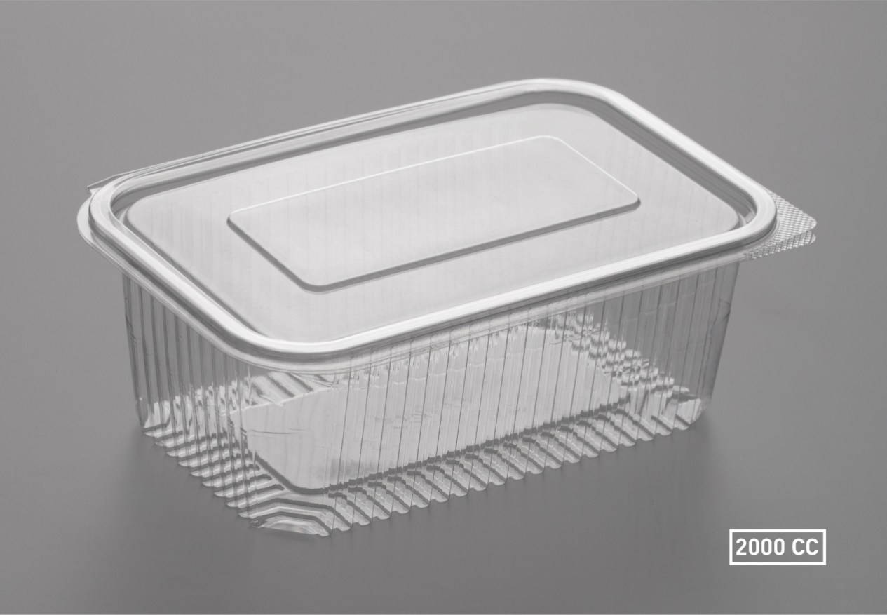 IZ-1 2000 D-Rectangular Flat Fid