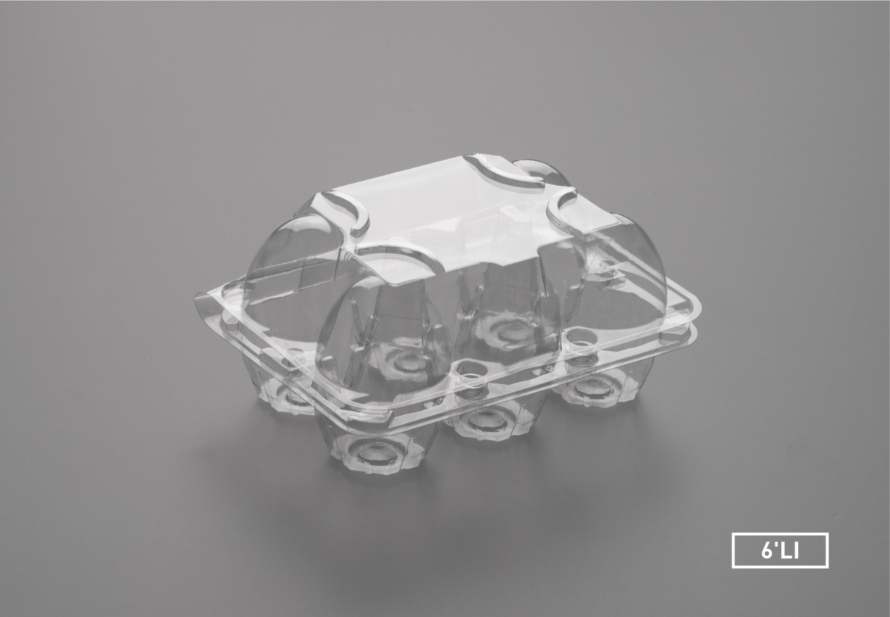 IZ-5/6 Y-L-Egg Tray 6 Large